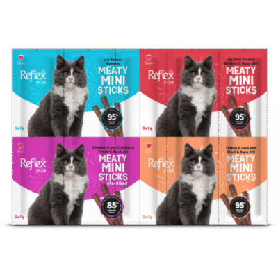 Reflex Mini Sticks Karışık 20 Li