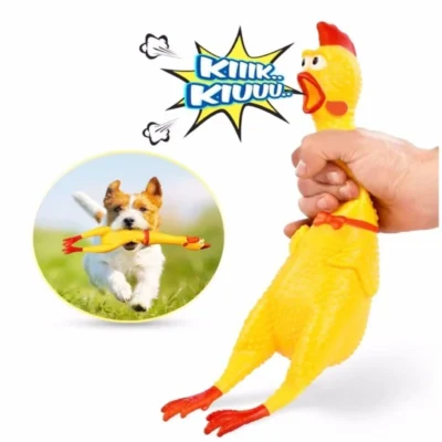Köpek Horozu Orta Boy