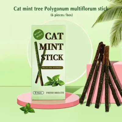 Matatabi Kedi Diş Bakım Çubuğu 6'lı Paket